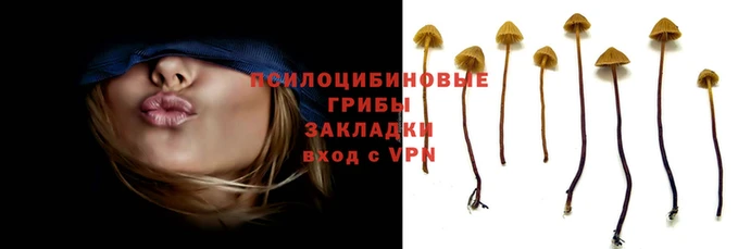 меф Нижневартовск