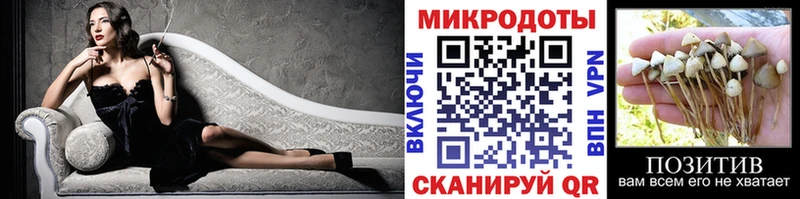 Псилоцибиновые грибы Magic Shrooms  наркотики  Южа 